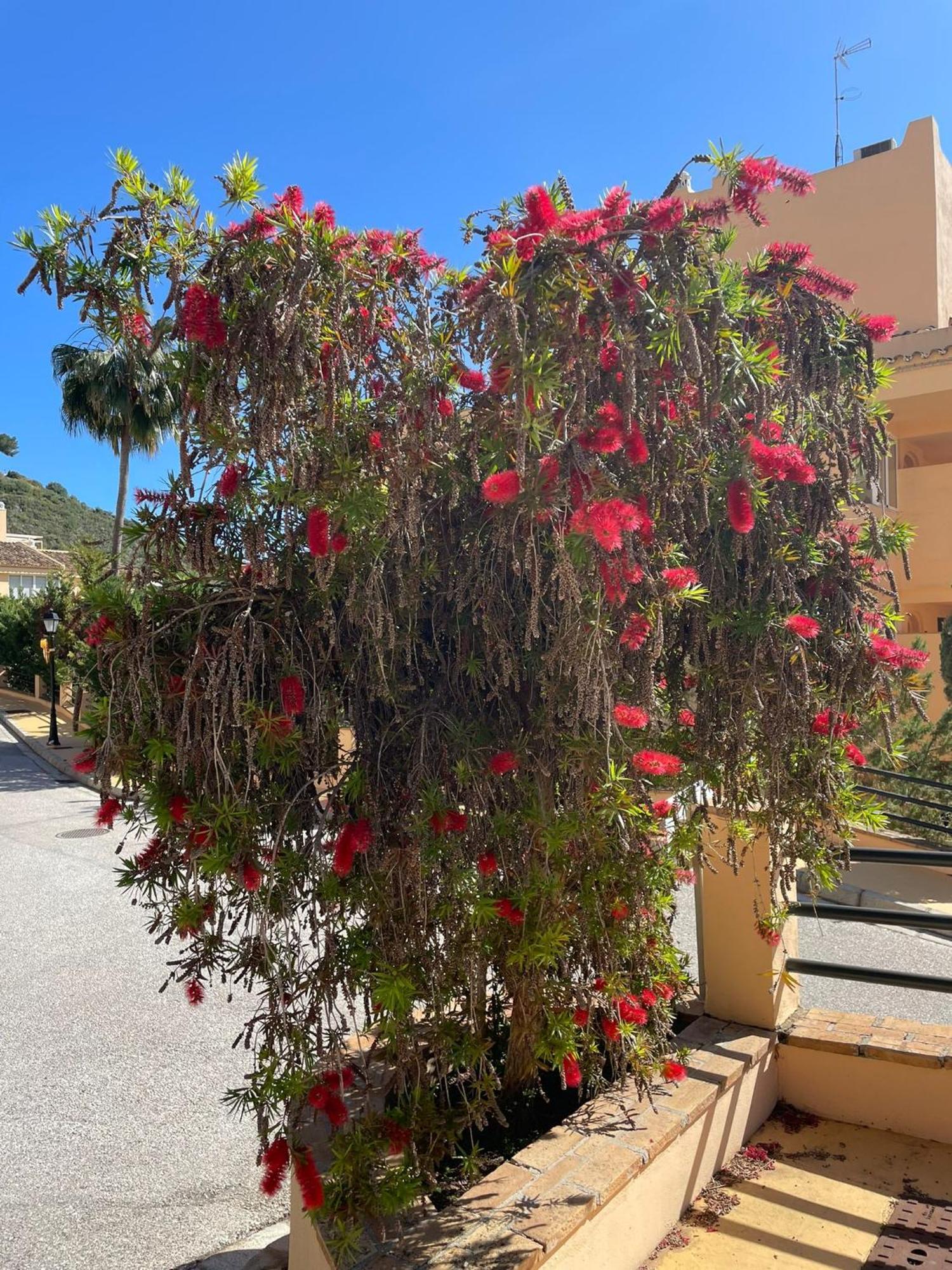 Santa Maria Village, Elviria, Марбелья Экстерьер фото